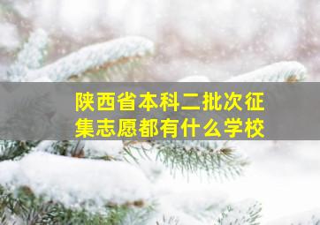 陕西省本科二批次征集志愿都有什么学校