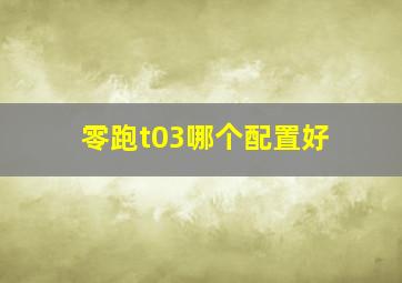 零跑t03哪个配置好