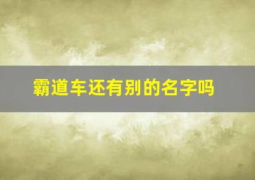 霸道车还有别的名字吗