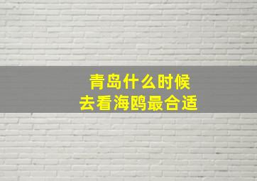 青岛什么时候去看海鸥最合适