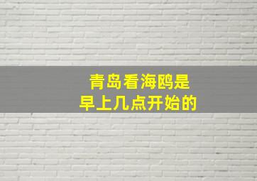 青岛看海鸥是早上几点开始的