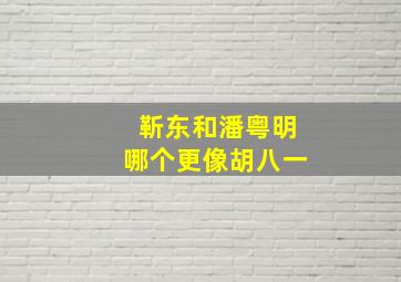 靳东和潘粤明哪个更像胡八一