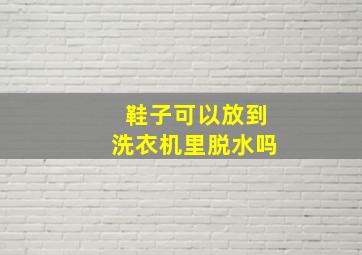 鞋子可以放到洗衣机里脱水吗