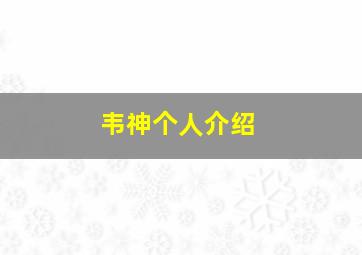 韦神个人介绍