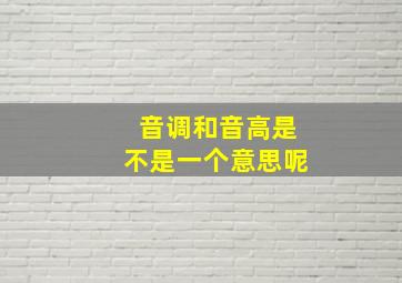 音调和音高是不是一个意思呢