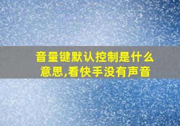 音量键默认控制是什么意思,看快手没有声音