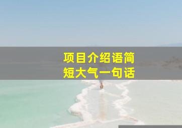 项目介绍语简短大气一句话