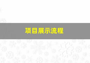 项目展示流程