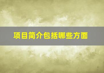 项目简介包括哪些方面