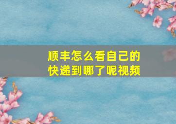 顺丰怎么看自己的快递到哪了呢视频