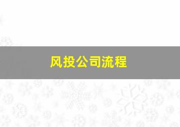 风投公司流程