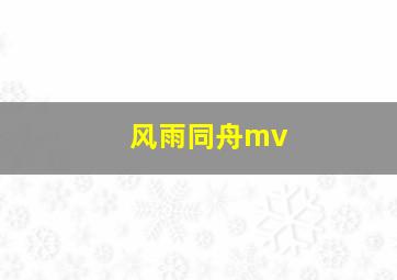 风雨同舟mv