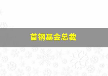 首钢基金总裁