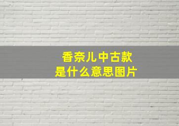 香奈儿中古款是什么意思图片