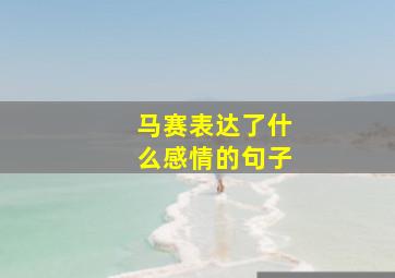 马赛表达了什么感情的句子