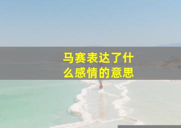 马赛表达了什么感情的意思