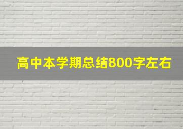 高中本学期总结800字左右