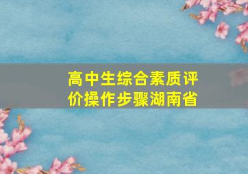 高中生综合素质评价操作步骤湖南省