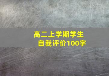 高二上学期学生自我评价100字