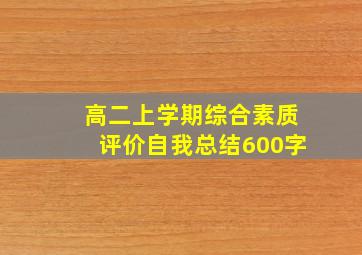 高二上学期综合素质评价自我总结600字