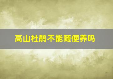 高山杜鹃不能随便养吗