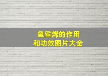 鱼鲨烯的作用和功效图片大全