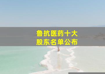 鲁抗医药十大股东名单公布