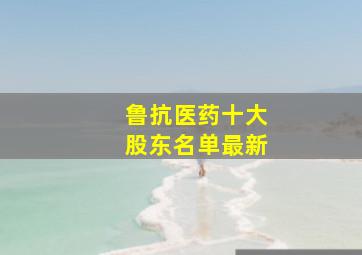 鲁抗医药十大股东名单最新