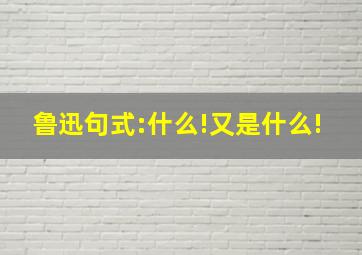 鲁迅句式:什么!又是什么!