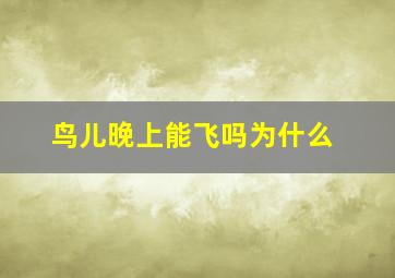 鸟儿晚上能飞吗为什么