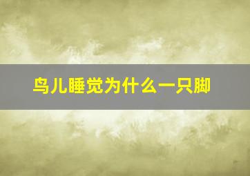 鸟儿睡觉为什么一只脚