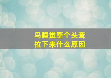 鸟睡觉整个头耷拉下来什么原因