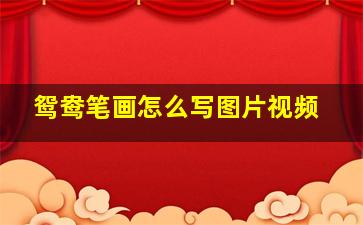 鸳鸯笔画怎么写图片视频