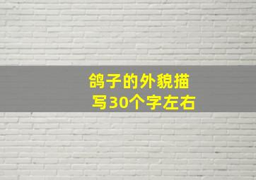 鸽子的外貌描写30个字左右