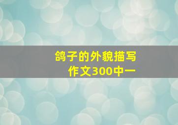 鸽子的外貌描写作文300中一