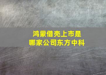 鸿蒙借壳上市是哪家公司东方中科