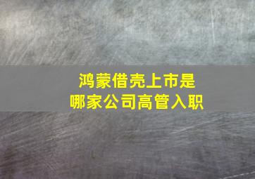 鸿蒙借壳上市是哪家公司高管入职