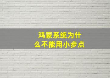 鸿蒙系统为什么不能用小步点