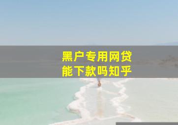 黑户专用网贷能下款吗知乎