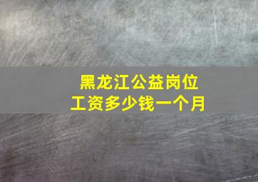 黑龙江公益岗位工资多少钱一个月