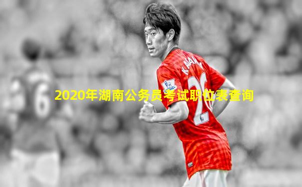 2020年湖南公务员考试职位表查询